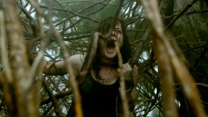 evil-dead-2013-trees-e1365064738689