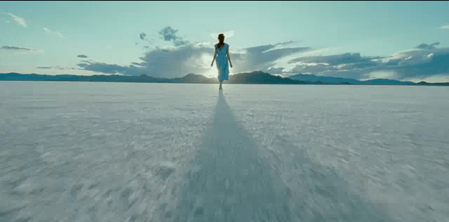 img-tree-of-life-trailer_170223549759